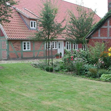 Ferienwohnung Am Elbdeich Bleckede Exteriör bild