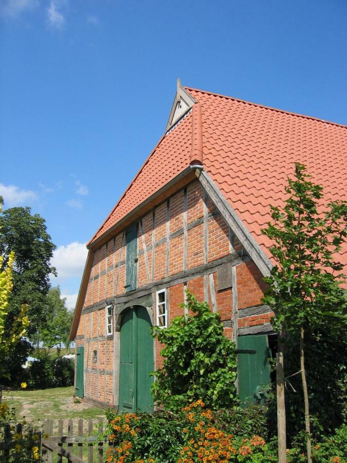 Ferienwohnung Am Elbdeich Bleckede Exteriör bild