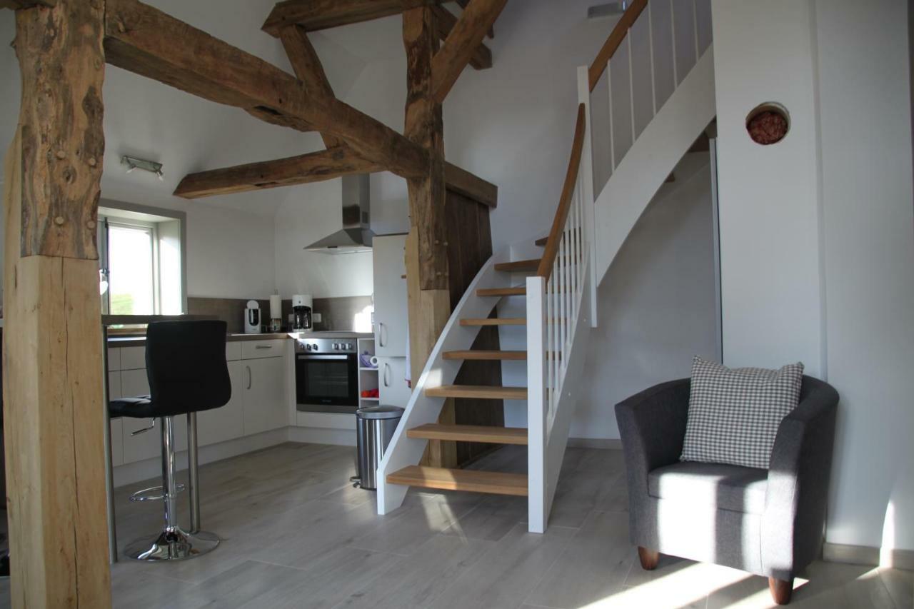 Ferienwohnung Am Elbdeich Bleckede Exteriör bild