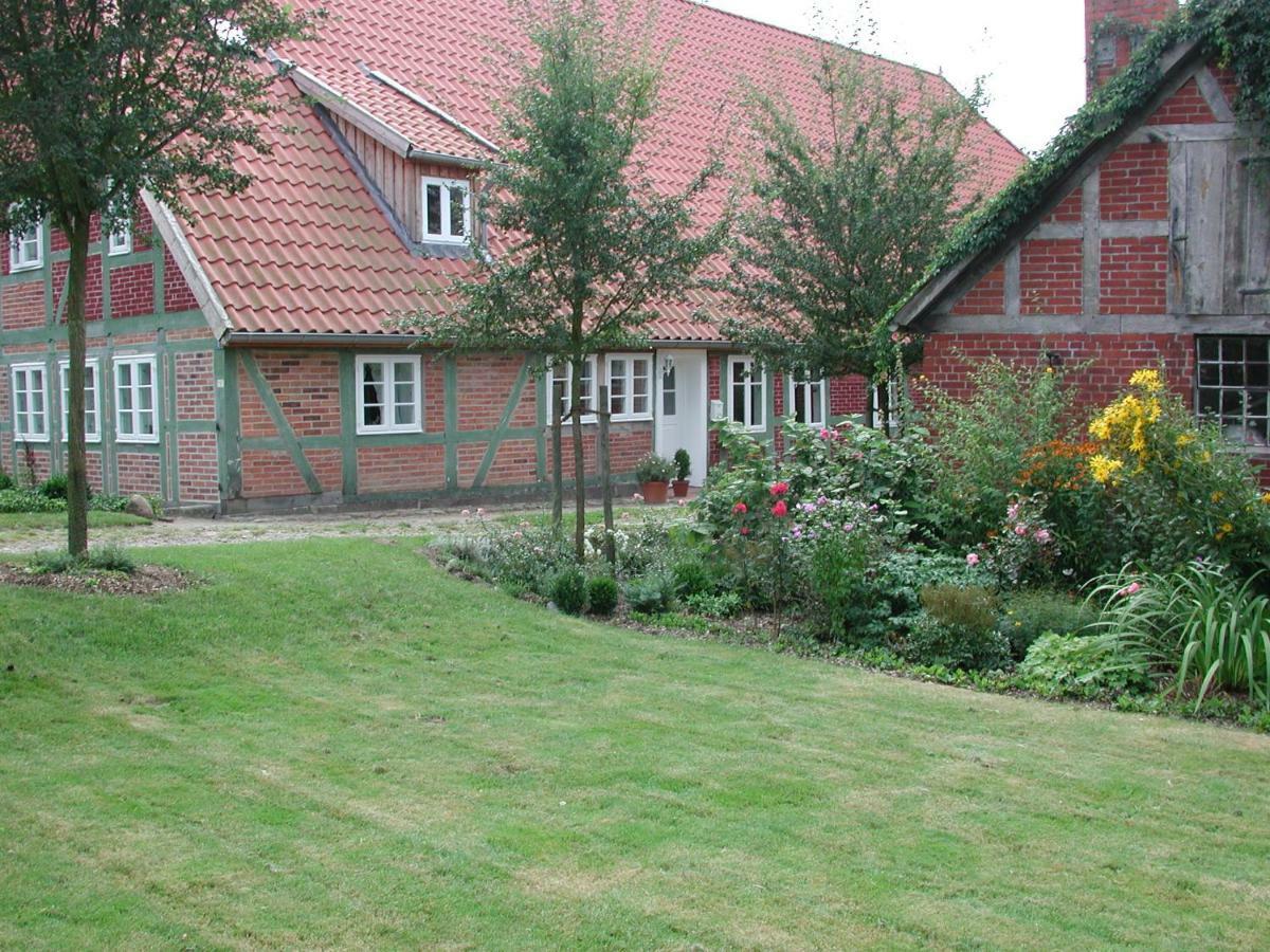 Ferienwohnung Am Elbdeich Bleckede Exteriör bild